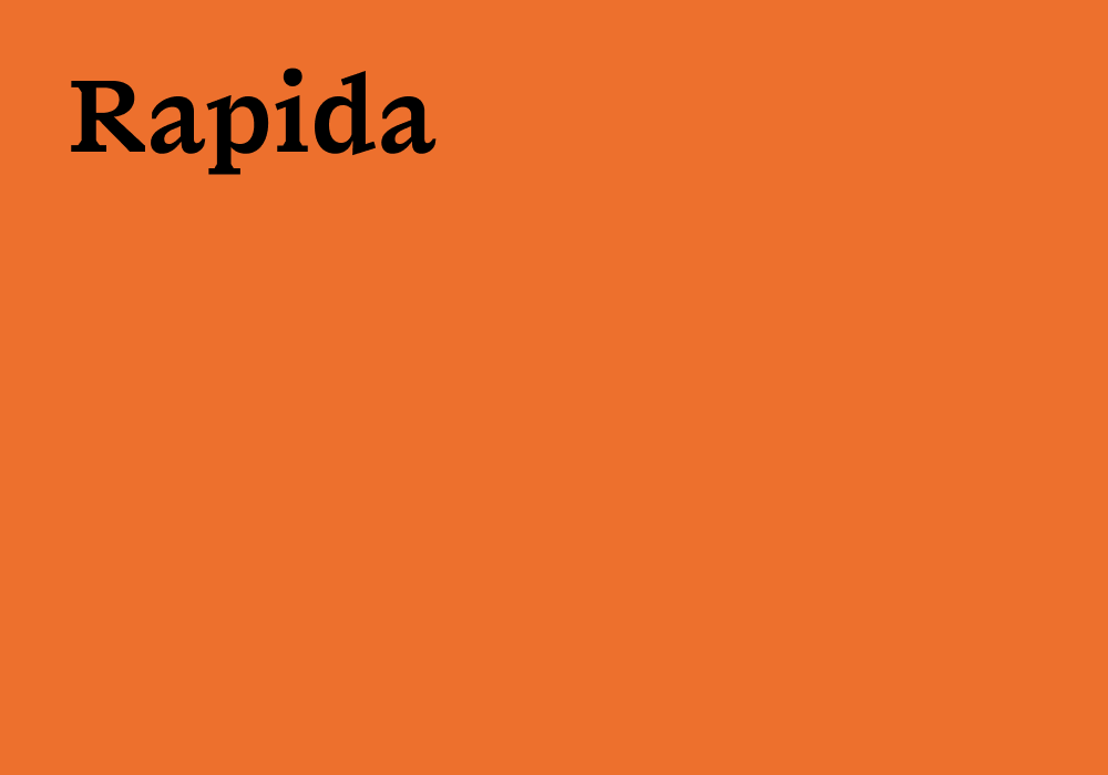 Il carattere tipografico Rapida di Typotheque